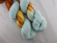 FIRE AND ICE Indie-Dyed Yarn on Squoosh DK - Assigned Pooling