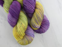 PURPLE IRIS Hand-Dyed on Buttery Soft DK - Purple Lamb