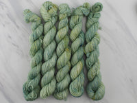 SAGE MINI SKEIN on Splendid Sock - Purple Lamb