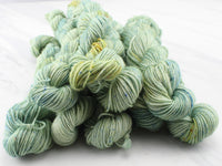 SAGE MINI SKEIN on Splendid Sock - Purple Lamb
