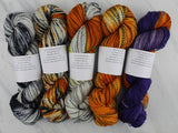 Butterfly Collection - ZEBRA LONGWING BUTTERFLY Hand-Dyed Yarn on Stained Glass Sock - Purple Lamb