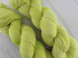 LIME GELATO Indie-Dyed Yarn on Feather Sock