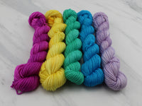 MINI-SKEIN SET #3 - Five Hand-Dyed 20 gram Sock-Weight Mini Skeins on Silken Sock - Purple Lamb