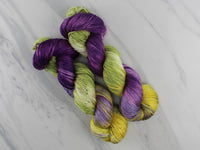 PURPLE IRIS Indie-Dyed Yarn on So Silky Sock - Purple Lamb