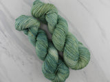 SAGE Hand-Dyed on Buttery Soft DK - Purple Lamb