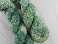 SAGE Hand-Dyed on Buttery Soft DK - Purple Lamb