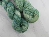SAGE Hand-Dyed on Buttery Soft DK - Purple Lamb