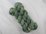 SAGE Indie-Dyed Yarn on Stained Glass Sock - Purple Lamb