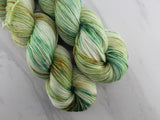 SEASHELL  Indie-Dyed Yarn on Squoosh DK