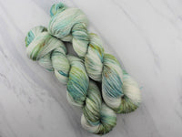 SEASHELL Hand-Dyed Yarn on Sock Perfection - Purple Lamb