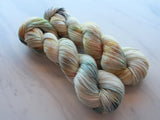 SEASHELL on So Silky Sock - Purple Lamb