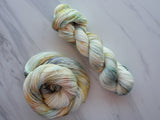 SEASHELL on So Silky Sock - Purple Lamb