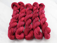 THE WINEDARK SEA MINI SKEIN on Splendid Sock