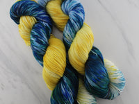 VAN GOGH'S STARRY NIGHT - Assigned Pooling Colorway on Feather Sock