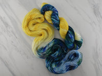 VAN GOGH'S STARRY NIGHT - Assigned Pooling Colorway on Feather Sock