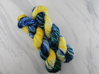 VAN GOGH'S STARRY NIGHT - Assigned Pooling Colorway on Squoosh DK