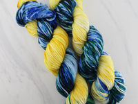 VAN GOGH'S STARRY NIGHT - Assigned Pooling Colorway on Squoosh DK
