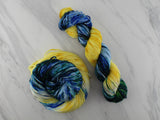 VAN GOGH'S STARRY NIGHT - Assigned Pooling Colorway on Squoosh DK
