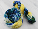 VAN GOGH'S STARRY NIGHT - Assigned Pooling Colorway on Squoosh DK